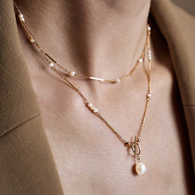 Load image into Gallery viewer, Toggle bar chain necklace HN026