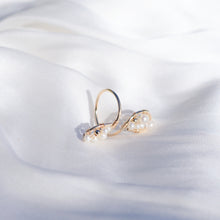 Load image into Gallery viewer, HR003 Double hoop wire wrapped ring