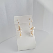 Load image into Gallery viewer, HE028 Grape earring
